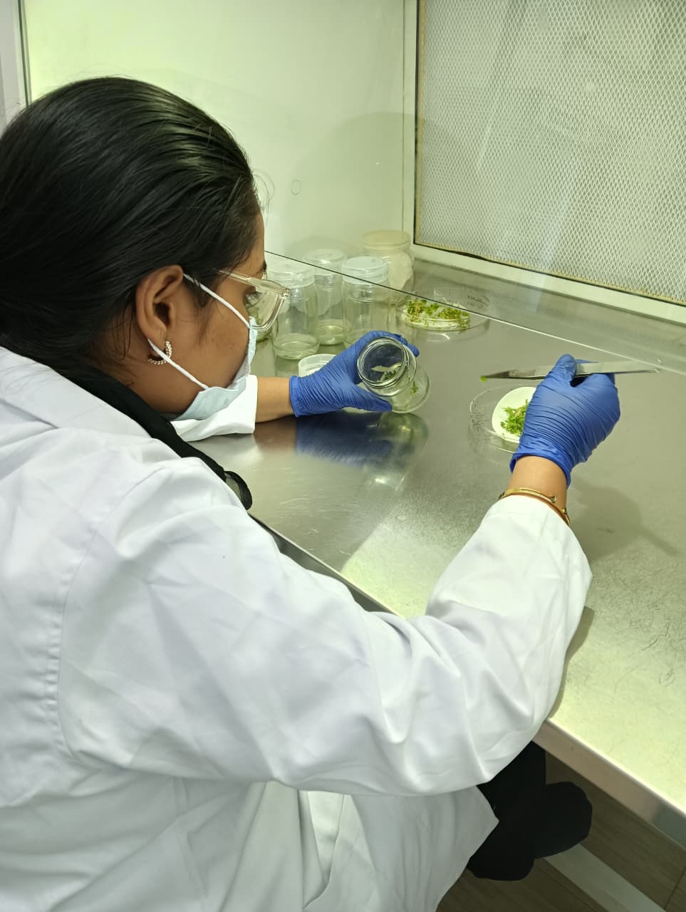 Plant Tissue Culture Workshop