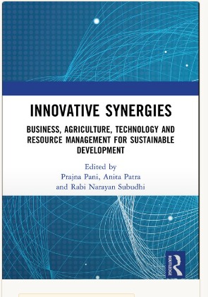 Innovative Synergies book cover