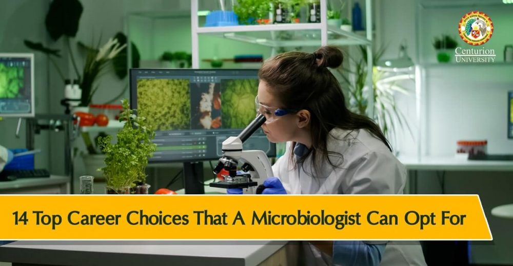 14 Top Career Choices That A Microbiologist Can Opt For