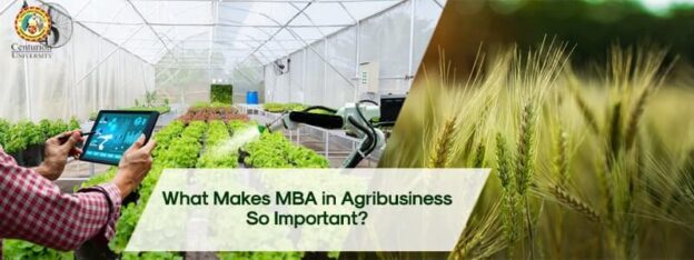 What Makes MBA in Agribusiness So Important