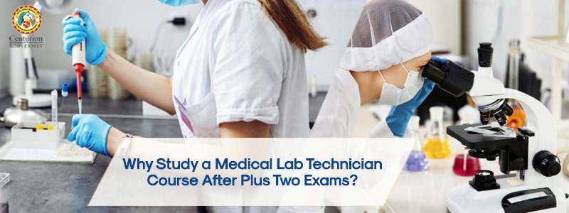 Why Study a Medical Lab Technician Course (MLT) After Plus Two Exams?
