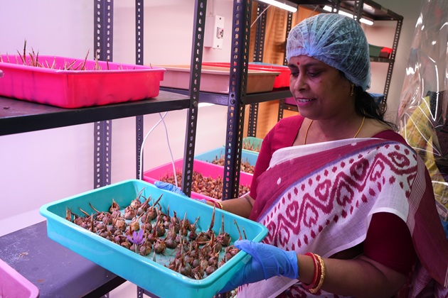Students in Lab