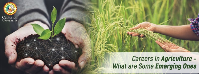 Careers in Agriculture – What are some Emerging Ones?