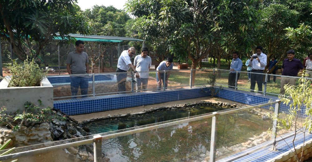 Ensuring Water Quality and Environmental Responsibility