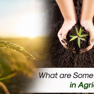What are Some Promising Careers in Agriculture to Take Up (1)