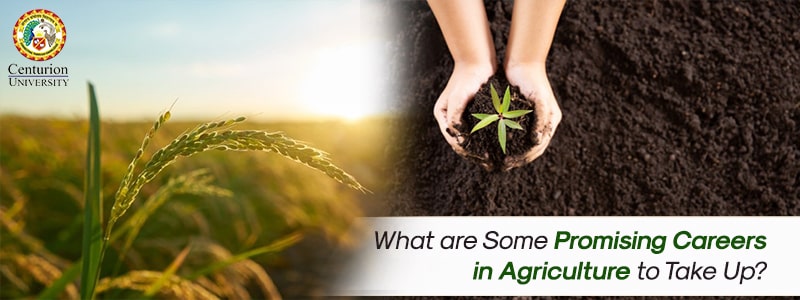 What are Some Promising Careers in Agriculture to Take Up?