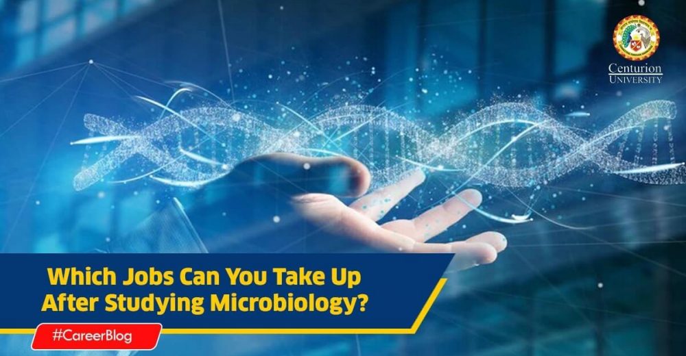 Which Jobs Can You Take Up After Studying Microbiology?